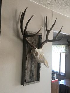 a deer skull mounted to the wall with antlers hanging on it's side