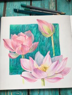 a drawing of two pink flowers on a piece of paper with colored pencils next to it