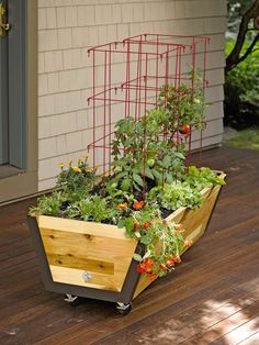 a wooden planter filled with lots of plants on top of a hard wood floor