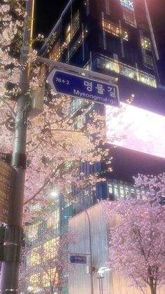 a street sign in front of a tall building at night with cherry blossoms on the trees