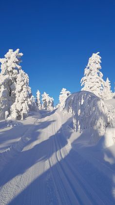 a person riding skis down a snow covered slope with trees in the background on a sunny day