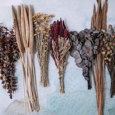 dried flowers are arranged on a white surface