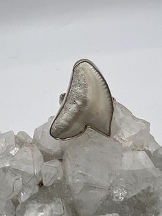 Shark Tooth Ring, Size 8 1/2 925 Sterling Silver WWW.KARINSFORGOTTENTREASURES.COM White Sterling Silver Ring With Polished Finish, White Sterling Silver Rings With Polished Finish, Unique White Rings With Polished Finish, Hand Cast White Sterling Silver Jewelry, Unique White Sterling Silver Rings, Untreated White Jewelry For Anniversary, Collectible White Hallmarked Rings, Shark Tooth Ring, Tooth Ring