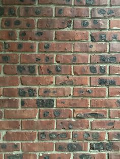 a red brick wall with some black spots on it