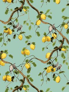 a painting of birds sitting on branches with lemons and leaves