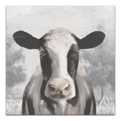 a black and white cow standing in front of a gray background with the head looking at the camera