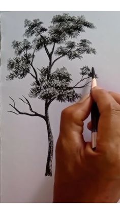 someone is drawing a tree with pencils