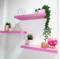 some pink shelves with plants and vases on them