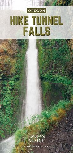 Blog post image with waterfall in Oregon. Blog will give directions on what to expect along the way and how to plan for your trip. Tunnel Falls Oregon Hike, Brandon Oregon, Tunnel Falls Oregon, Hiking Goals, Pnw Adventures, Oregon Trip, Travel Oregon, Southern Oregon Coast, Oregon Hikes