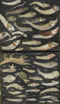 an image of fish in the water with skulls on their backs and heads above them