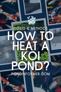 Article about how to heat a koi pond, exploring methods, costs, and tips to maintain a warm and healthy environment for your koi during winter.

Koi pond heating methods, Pond heater costs, Winter pond care