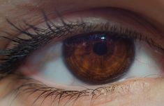 Light Brown Eyes Aesthetic, Brown And Blue Eyes Aesthetic, Green Brown Eyes Aesthetic, Brown Eyes Astethic, Dark Brown Eyes In Sunlight, Percy Jackson Wallpaper, Pretty Brown Eyes, Rose Colored Glasses