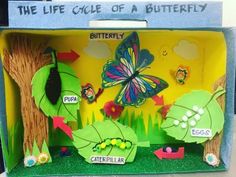 the life cycle of a butterfly made out of paper and cut outs with butterflies on them