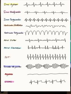 a sheet of paper with different types of writing on it