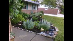 a garden with rocks and plants in front of a house on the side of a street