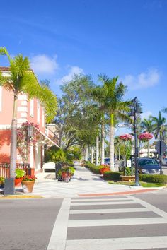 an empty street with palm trees on both sides and a pink building in the background