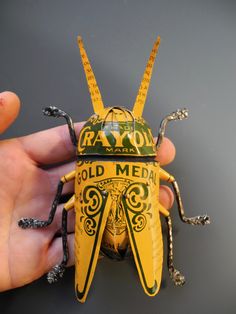 a hand holding a yellow and green bug with long legs on it's head