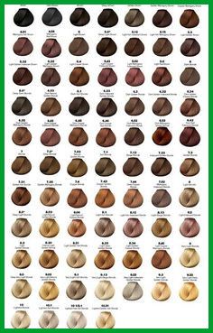 Matrix Hair Color Chart, Hair Color Names, Matrix Hair Color, Honey Brown Hair Color, Brown Hair Color Chart, Clairol Hair Color