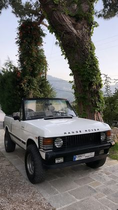 a white pick up truck parked next to a tree