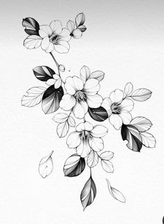 an ink drawing of flowers on paper