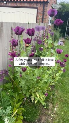 purple flowers growing in front of a house with a quote written on the back ground