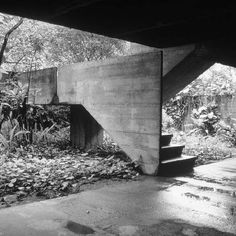 black and white photograph of an underpass in the woods with plants on either side