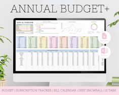 the annual budget sheet is displayed on a computer screen next to potted plants and books