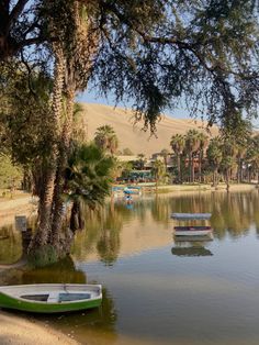 several boats are docked on the shore of a lake in front of palm trees and sand dunes