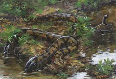 a painting of two snakes in the water