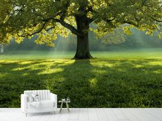 a white couch sitting on top of a wooden floor next to a large tree in the middle of a field