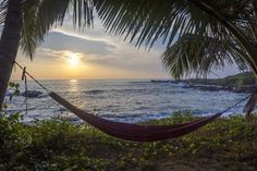 a hammock hanging between two palm trees in front of the ocean at sunset