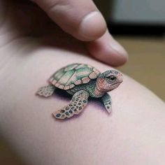 a small turtle tattoo on the back of a woman's arm, it looks like she is holding something in her hand