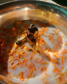 a metal bowl filled with milk and orange flowers