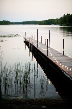 a long dock with lights on it in the middle of a lake surrounded by tall grass