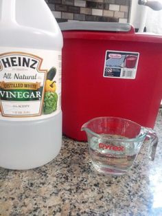 a bottle of vinegar next to a measuring cup on a kitchen counter with a red container