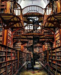 the inside of a library with many bookshelves and spiral staircases in it