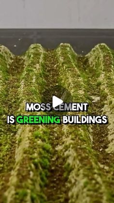 moss is growing on the roof of a building that says moss element is greening buildings