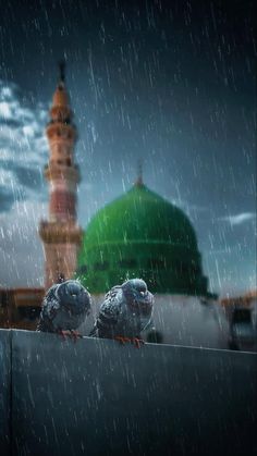 two birds sitting on the ledge of a building in the rain with a green dome behind them