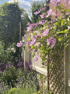 purple flowers are growing on the side of a house