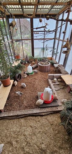 the inside of a greenhouse with plants and rocks