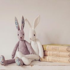 two stuffed rabbits sitting next to each other in front of three books on a shelf