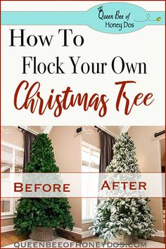 how to flock your own christmas tree before and after it has been cut down for the holiday season