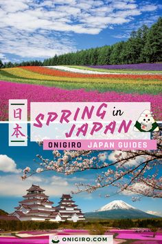 spring in japan onigiro japanese guides