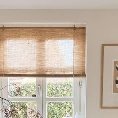 a kitchen window with blinds on the top and bottom, in front of a potted plant