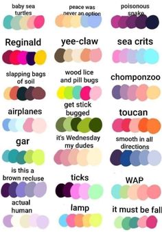 an image of different types of colors