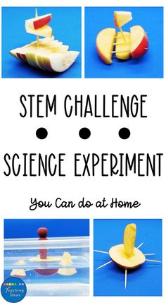 Science Experiments for Kids STEM Challenge Stem Activities With Food, Food Stem Activities, Building Stem Activities, Fall Science Experiments For Kids, Fall Science Experiments, Classroom Stem Activities, Simple Stem Activities, Stem Activity For Kids, Fall Science