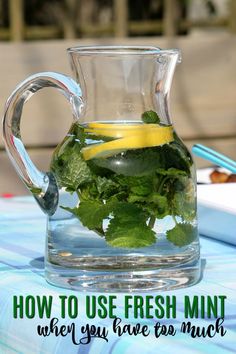 a pitcher filled with cucumber and lemon slices