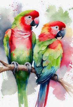 two colorful parrots sitting on top of a tree branch with watercolor paint splashes