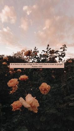 flowers with a bible verse in the middle, and clouds above them on a cloudy day