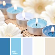 the color scheme is blue and white, with some flowers in front of each other